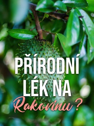 Co je Sirsak? Láhevník ostnitý (Annona muricata), česky též anona ostnitá, je ovocný strom z čeledi láhevníkové. Plod nebo...